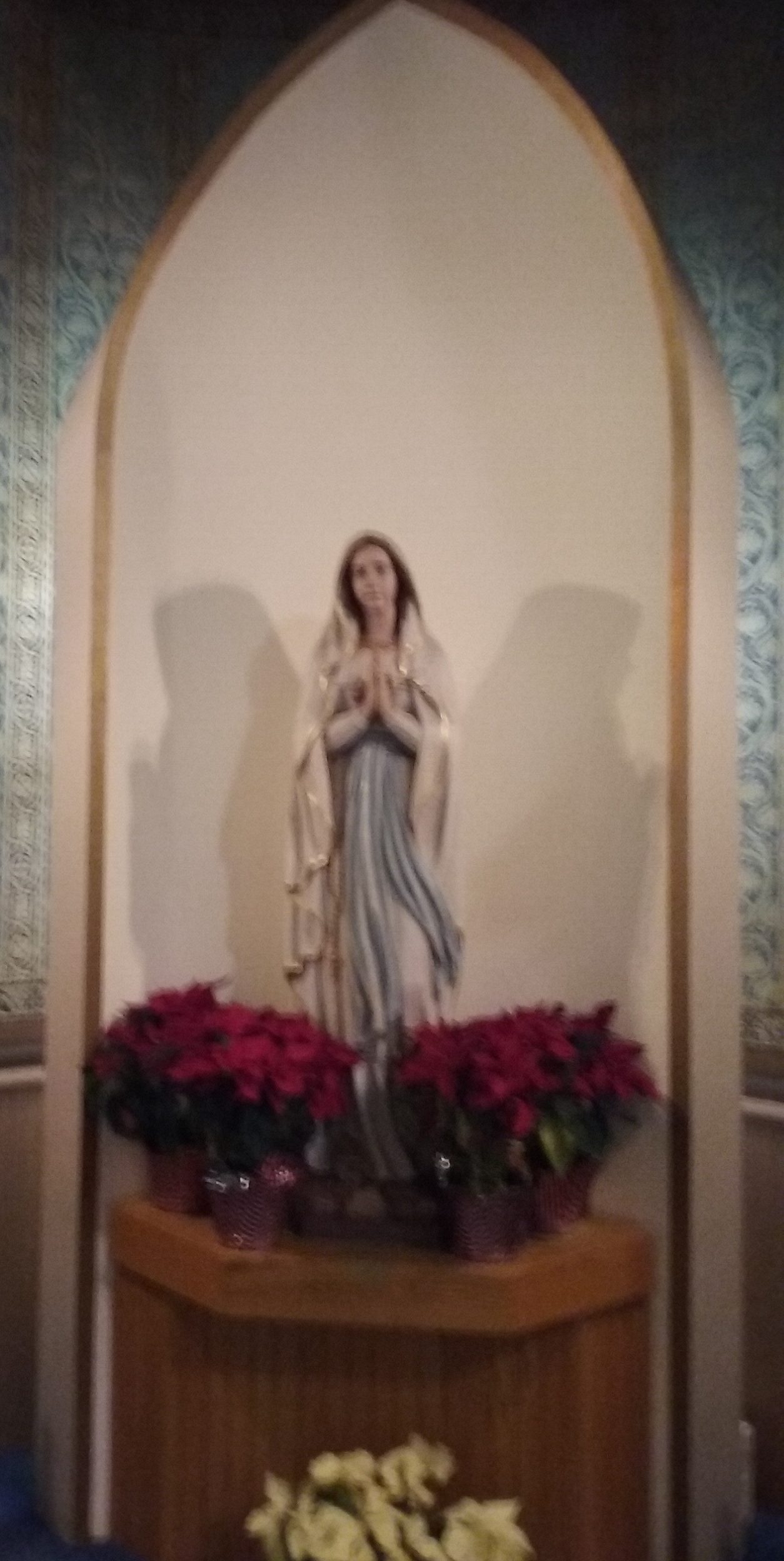 Mary Shrine Immaculate Conception Church