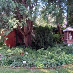 curved garden path with plant labels and Blessed Mother Shrine