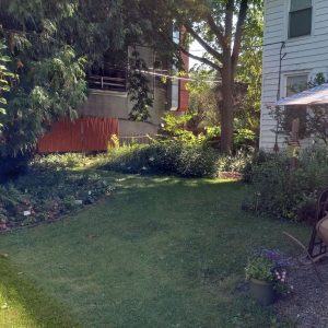 grass with curved gardens