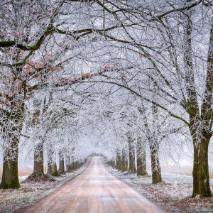 winter road