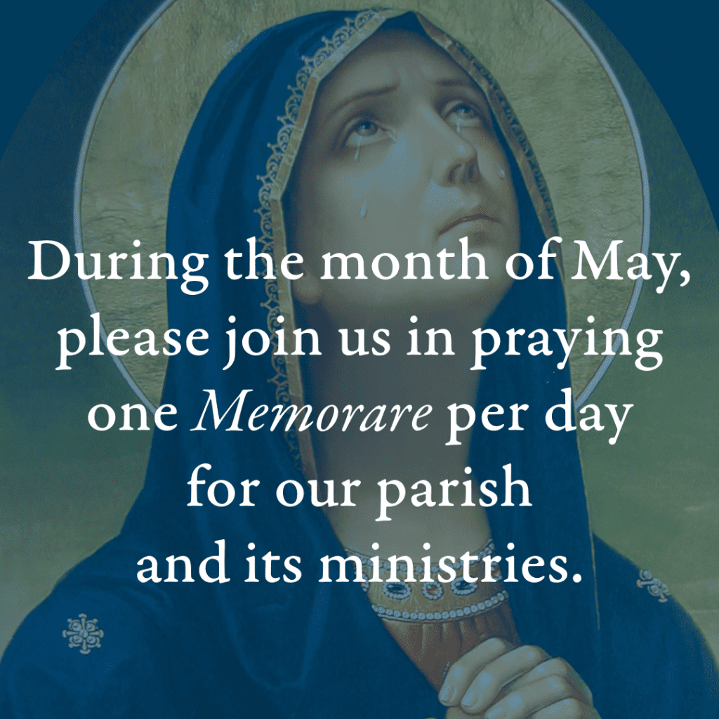 the Blessed Virgin Mary