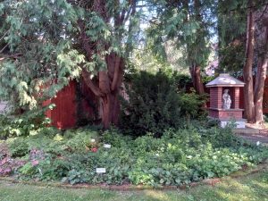 curved garden path with plant labels and Blessed Mother Shrine