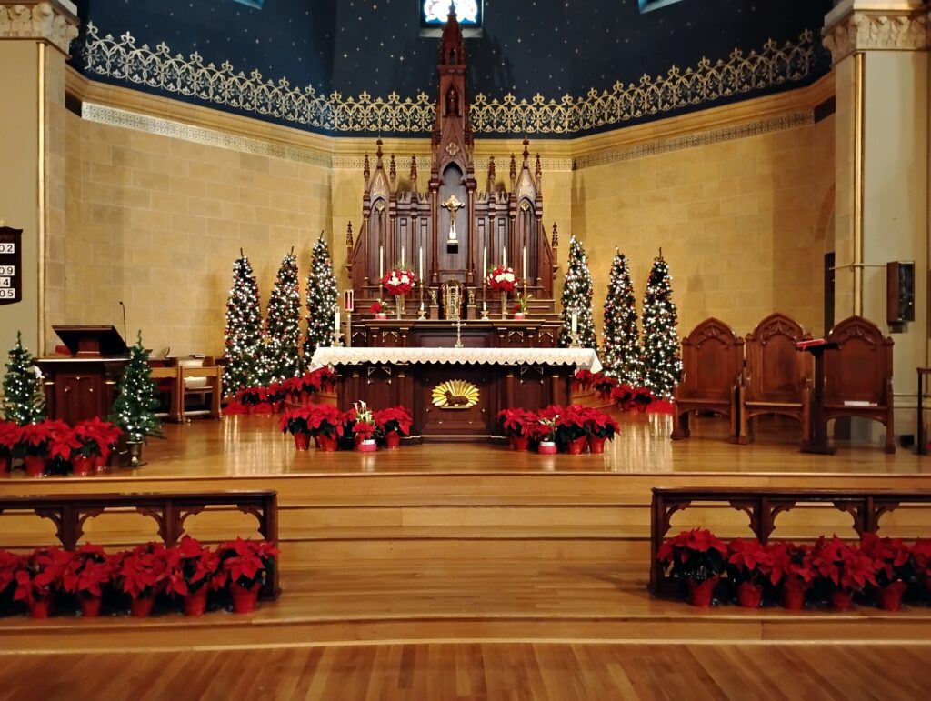Catholic Sanctuary with lights on Christmas trees and poinsettias around the altar.